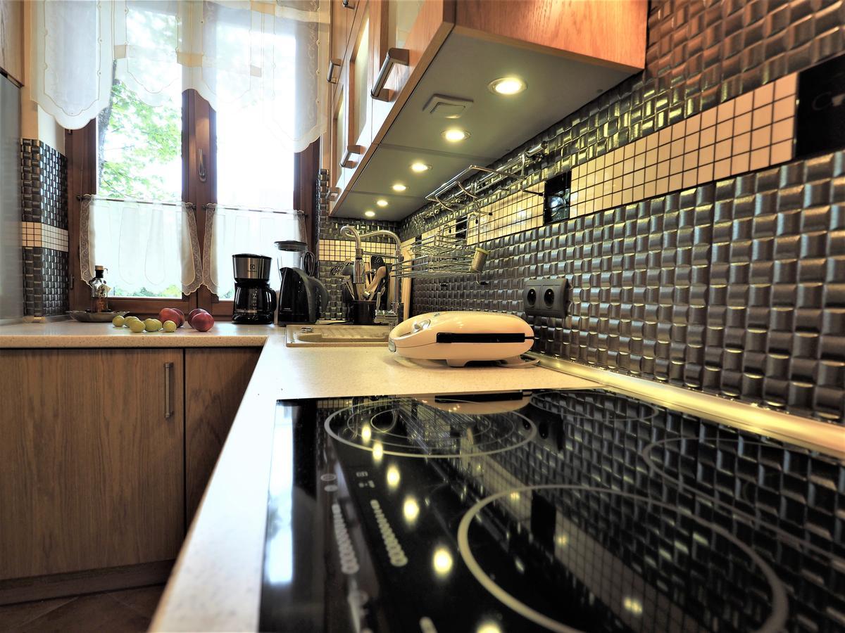 Vip Apartamenty Tetmajera Centrum 2 Закопане Экстерьер фото