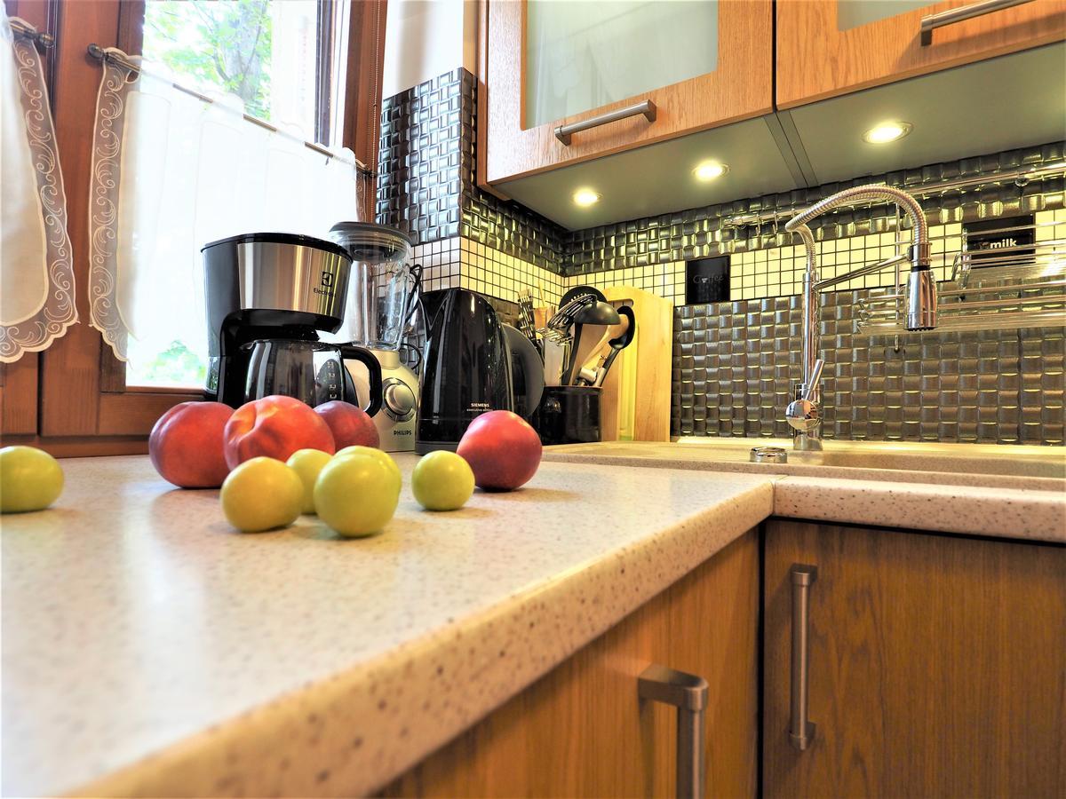 Vip Apartamenty Tetmajera Centrum 2 Закопане Экстерьер фото